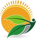 Summer leaf human logo Royalty Free Stock Photo