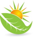 Summer leaf logo Royalty Free Stock Photo