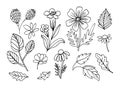 Summer leaves and flowers set line art. Hand drawing floral doodles vector illustration. Minimalism art. Botanical modern decor Royalty Free Stock Photo