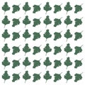 SUMMER LEAVES PATTERN TEXTURE Royalty Free Stock Photo