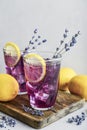 Summer lemonade with lavender Royalty Free Stock Photo