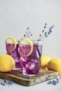 Summer lemonade with lavender Royalty Free Stock Photo