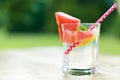 Summer Lemonade with slices of watermelon, lemon and garnished with fresh mint