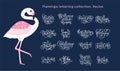 Summer lettering flamingo girly vector set.