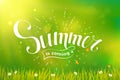 Summer lettering on green background. Royalty Free Stock Photo