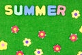 Summer lettering on a green background with flowers Royalty Free Stock Photo