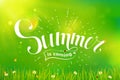 Summer lettering on green background. Royalty Free Stock Photo