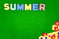 Summer lettering on a green background with flowers and copy space Royalty Free Stock Photo