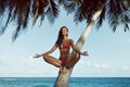 Summer Lifestyle Portrait of Happy Tanned Girl Model in Bikini in Yoga Pose on Palm Tree at the Tropical Beach Royalty Free Stock Photo