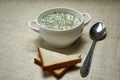 Summer light cold yogurt soup with cucumber, radish, eggs and dill on the table Royalty Free Stock Photo