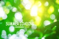 Summer loading, natural green background defocusing texture