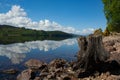 Old Tree Stump on Edge of Tranquil Loch Garry, Scotland During a Summer Day showing Reflections in the Calm Water