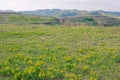 Summer Loess Plateau scenery Royalty Free Stock Photo