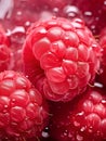 Summer macro close red food eating raspberry organic fruit ripe berries up snack