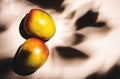 Summer mango fruits top view. Contemporary still life, lpink background, hard light and shadow pattern