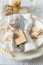 Summer marine style table setting Royalty Free Stock Photo