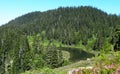 Summer at Mazama Lake