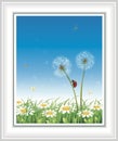 Summer meadow with dandelions and daisies