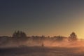 Summer meadow at the early foggy morning. Royalty Free Stock Photo