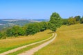 Summer meadow in the Erzgebirge Royalty Free Stock Photo
