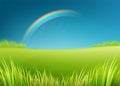 Summer meadow field with rainbow after rain. Nature background with green grass