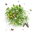 Summer meadow with flowers and various insects, isolated on white background. 3D rendering.