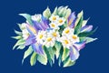 Summer meadow iris and daisy flowers on blue background isolated Royalty Free Stock Photo