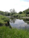 Summer meadow springwater country park bury Royalty Free Stock Photo