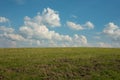 Summer meadow under blue sky