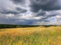 Summer meadow under dark clouds Royalty Free Stock Photo