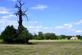 Summer meadows in South Moravia Royalty Free Stock Photo