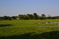 Summer meadows in South Moravia Royalty Free Stock Photo