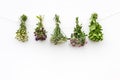 Summer medical herbs bunches Royalty Free Stock Photo