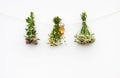 Summer medical herbs bunches Royalty Free Stock Photo