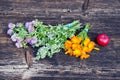 Summer medical herbs flowers and apple Royalty Free Stock Photo