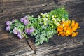 Summer medical herbs flowers bunch on old wooden background Royalty Free Stock Photo