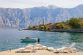 Summer Mediterranean landscape. Montenegro . View of Bay of Kotor and Stoliv village. Vacation concept