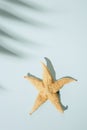 Summer minimal background with shadow of palm tree leaf and starfish. Pastel colored aesthetic photography Royalty Free Stock Photo