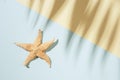 Summer minimal background with shadow of palm tree leaf and starfish. Pastel colored aesthetic photography Royalty Free Stock Photo