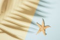 Summer minimal background with shadow of palm tree leaf and starfish. Pastel colored aesthetic photography Royalty Free Stock Photo