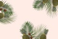 Summer minimal banner copyspace. Green palm leaves on the pastel background