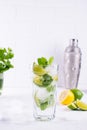 Summer mint lime refreshing cocktail mojito with ice in glass , fresh ingredients, cocktail shaker Royalty Free Stock Photo