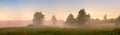 Summer misty dawn on the bog. Foggy swamp in the morning. Panorama Royalty Free Stock Photo