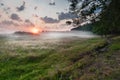 Summer misty dawn on the meadow Royalty Free Stock Photo