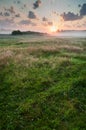 Summer misty dawn on the meadow Royalty Free Stock Photo