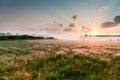 Summer misty dawn on the meadow Royalty Free Stock Photo