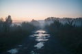 Summer misty fog landscape