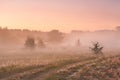 Summer misty landscape in sunrise light. Colorful dawn sky Royalty Free Stock Photo