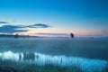 Summer misty morning on bog Royalty Free Stock Photo