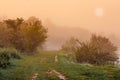 Summer misty morning. The road is in the park. Sunrise over the Royalty Free Stock Photo